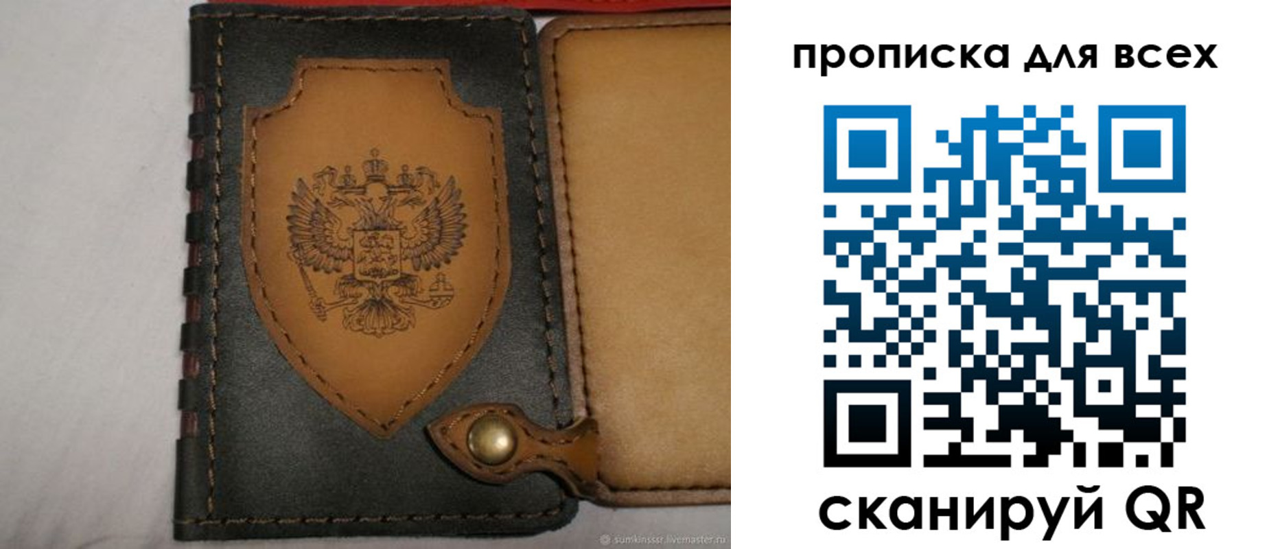 прописка для школы в Вытегре